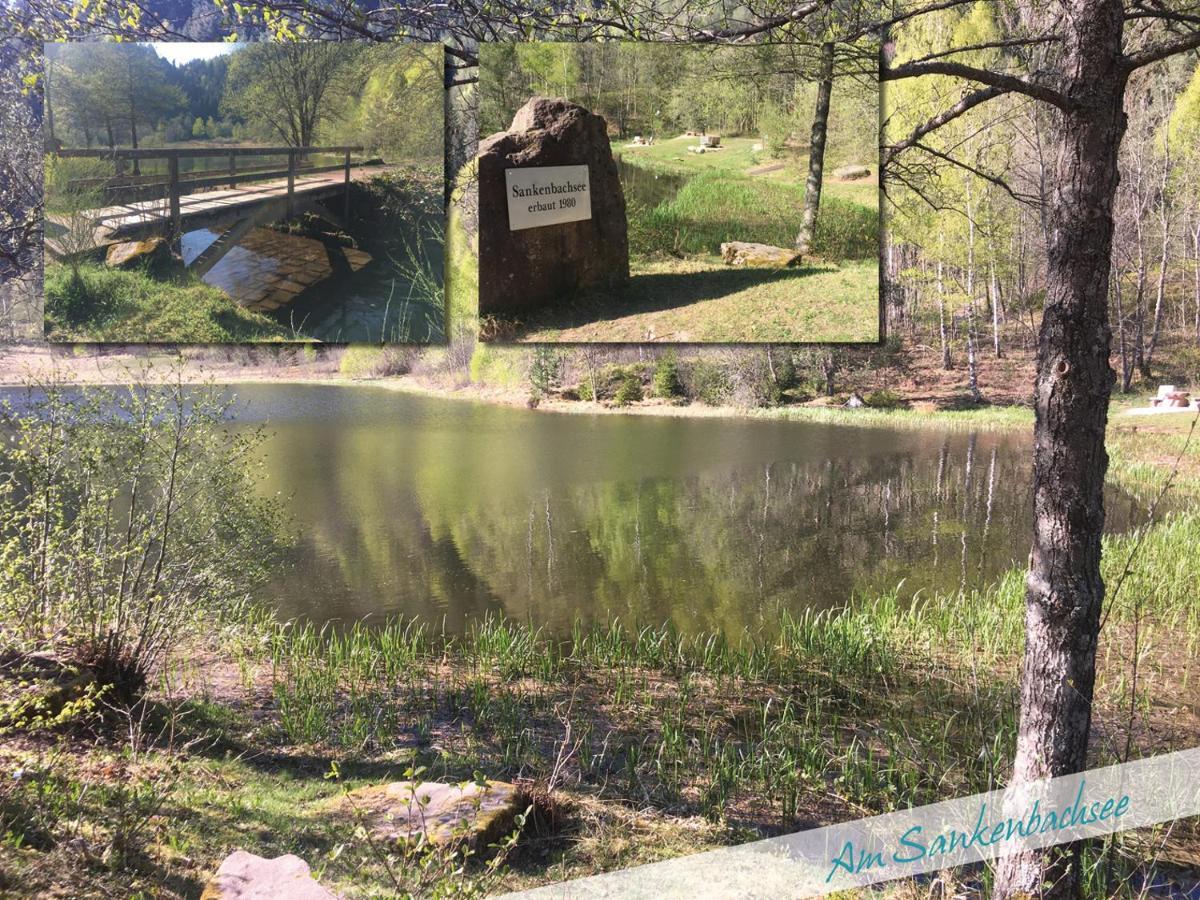 Nationalpark Schwarzwald *