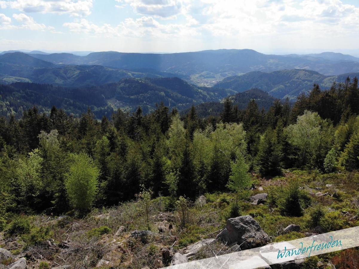 Nationalpark Schwarzwald