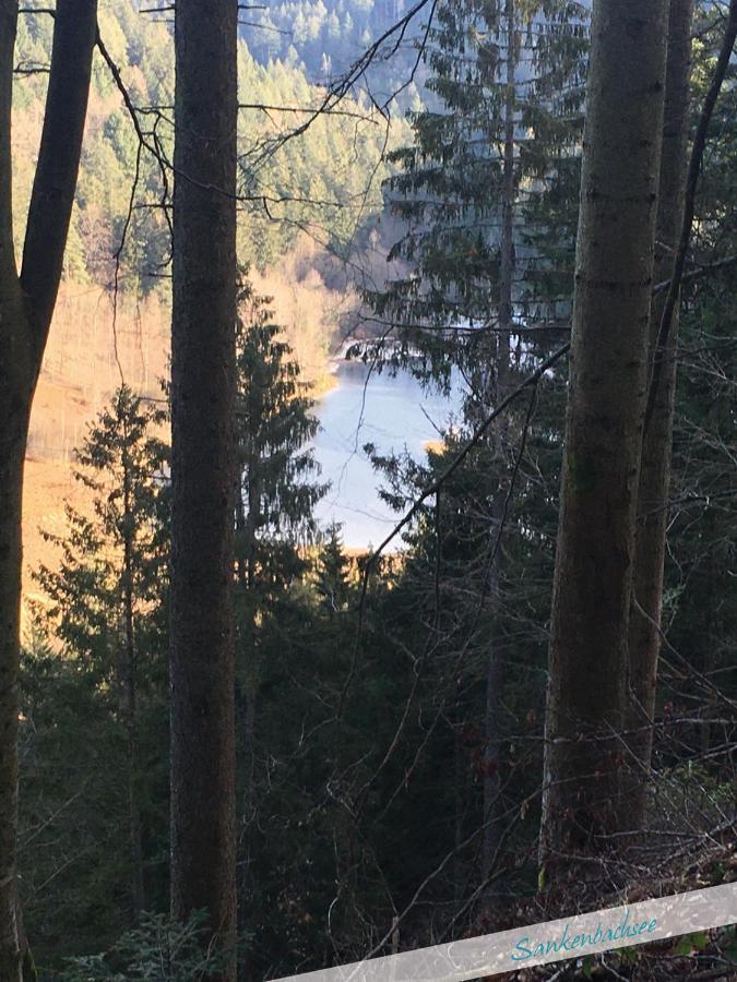 Nationalpark Schwarzwald