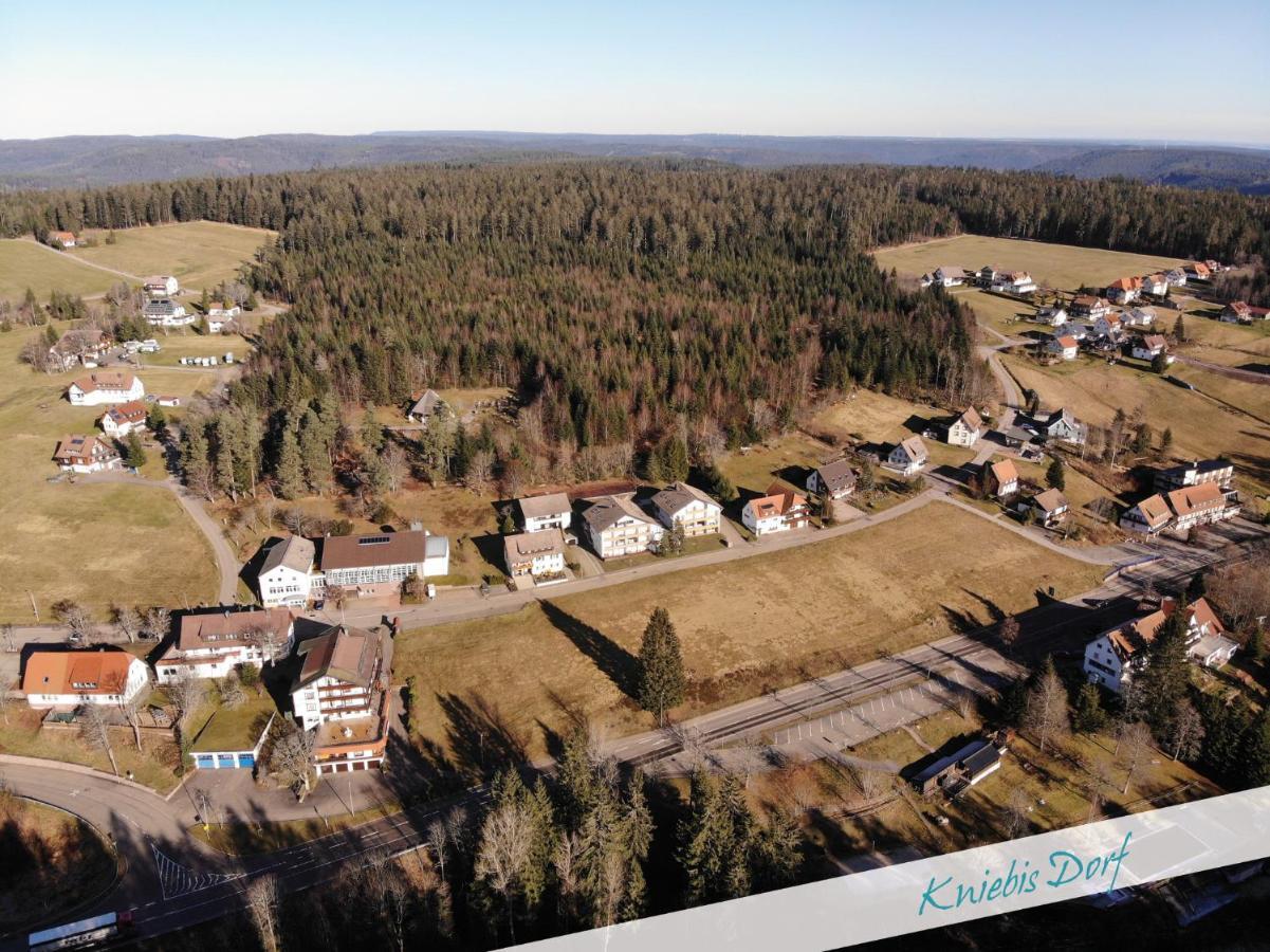 Apartment Nationalpark Schwarzwald Freudenstadt