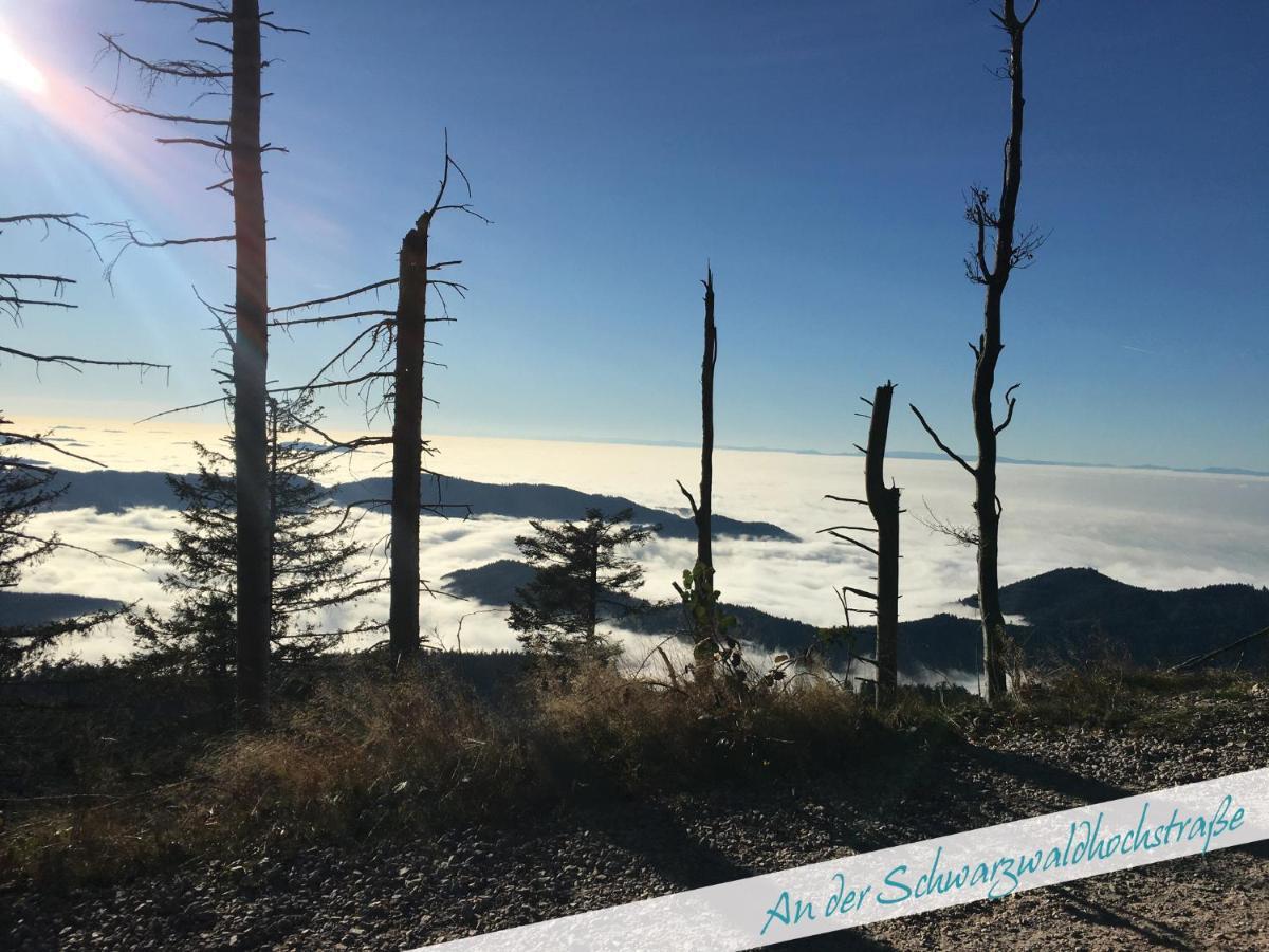Nationalpark Schwarzwald